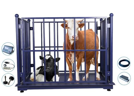 calidad  ZEMIC 3 Tons Digital Cattle Weighing Scales With ODM Fábrica